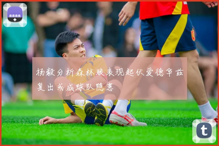 杨毅分析森林狼表现起伏爱德华兹复出或成球队隐患