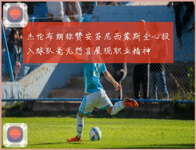 杰伦布朗称赞安芬尼西蒙斯全心投入球队毫无怨言展现职业精神